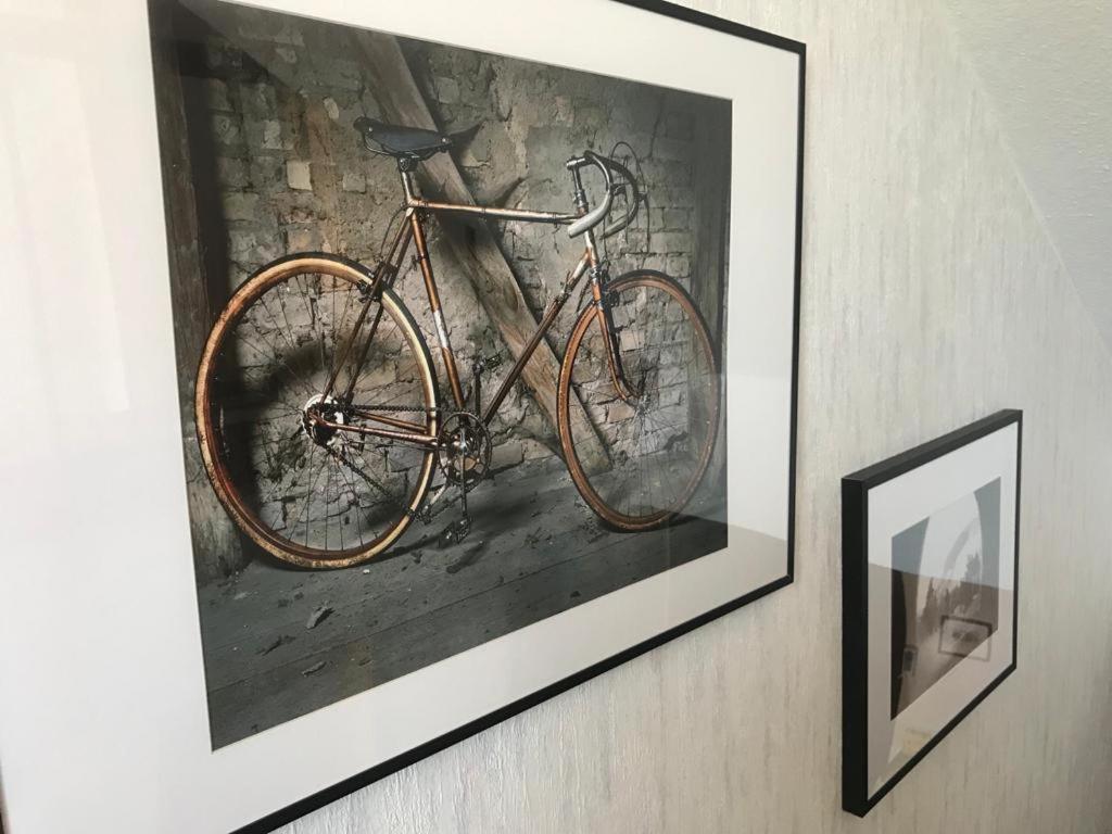 Pension Central - Ihre Fahrradfreundliche Unterkunft In Der Altstadt Wittenberg Exteriör bild